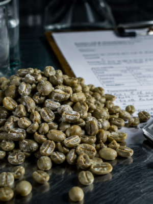 Robusta Yeast Inoculation