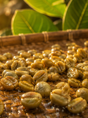 Liberica Honey Process