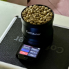 Robusta Grade 1