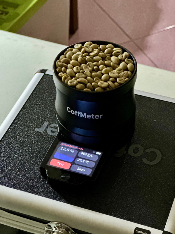 Robusta Grade 1