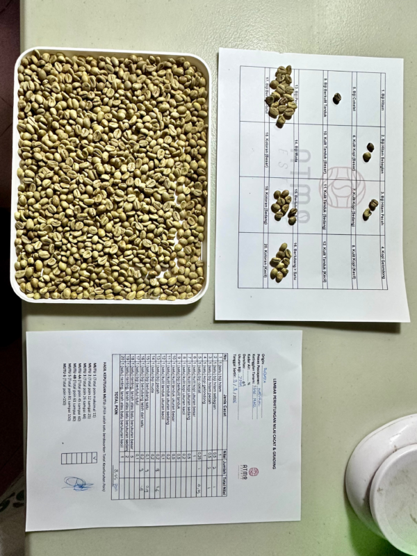 Robusta Grade 1