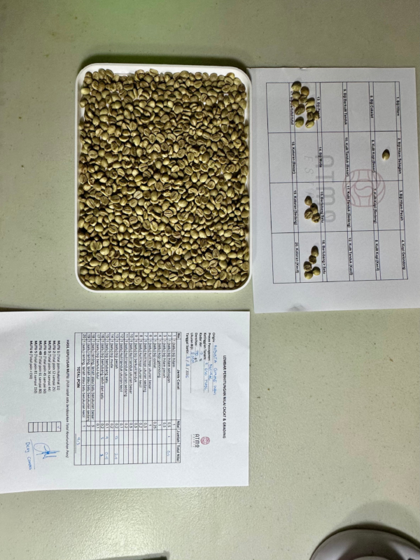 Fine Robusta