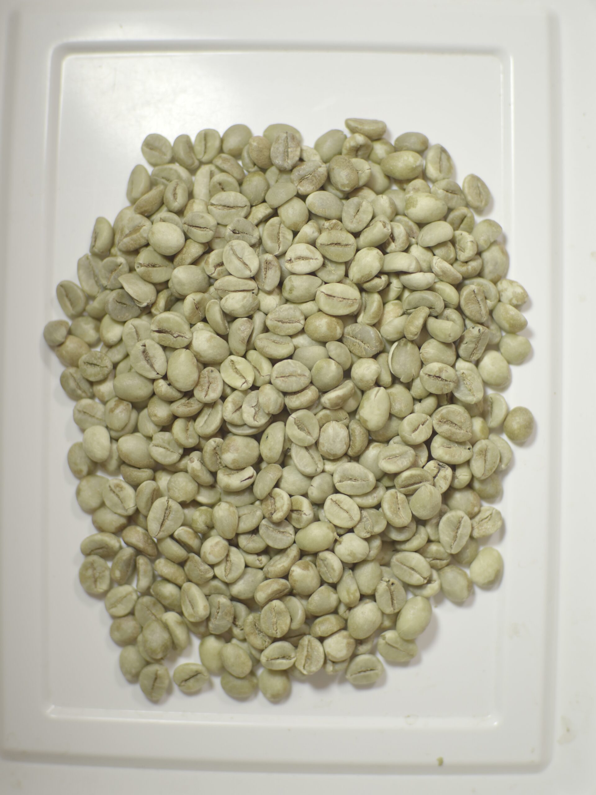 Fine Robusta