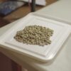 Robusta Grade 1