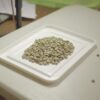 Fine Robusta