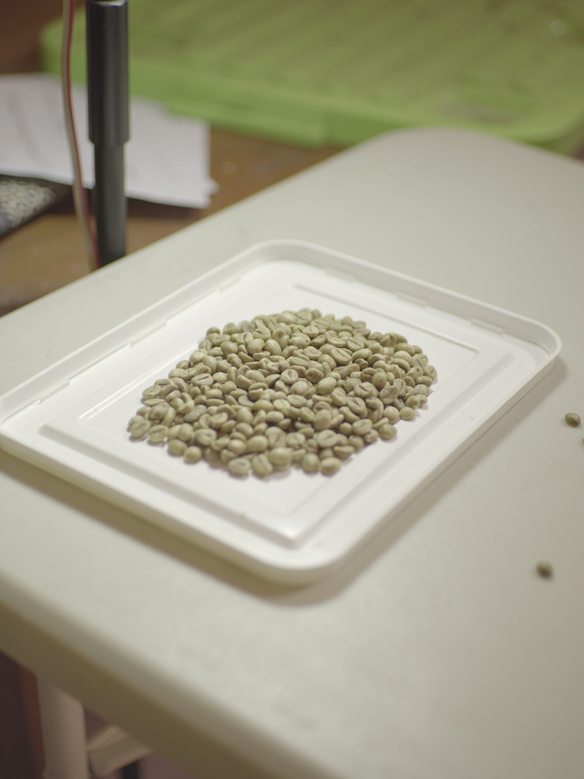 Fine Robusta