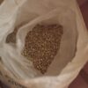 Robusta Grade 1