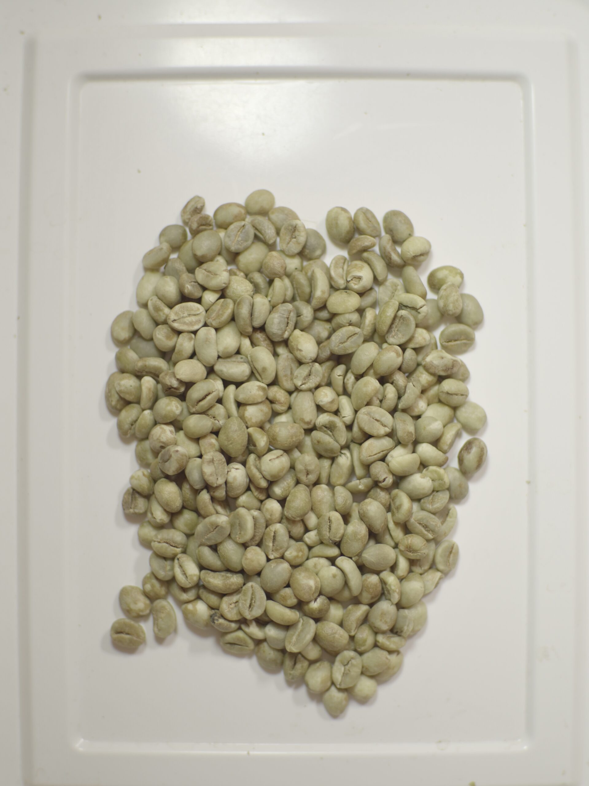 Robusta Grade 1
